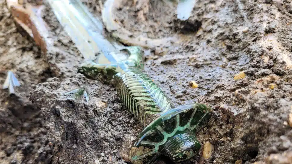 A arma de 3.000 anos é conhecida como uma espada octogonal. (Crédito da imagem: Bronzezeitliches Schwert aus Nördlingen; Archäologie-Büro Dr. Woidich)