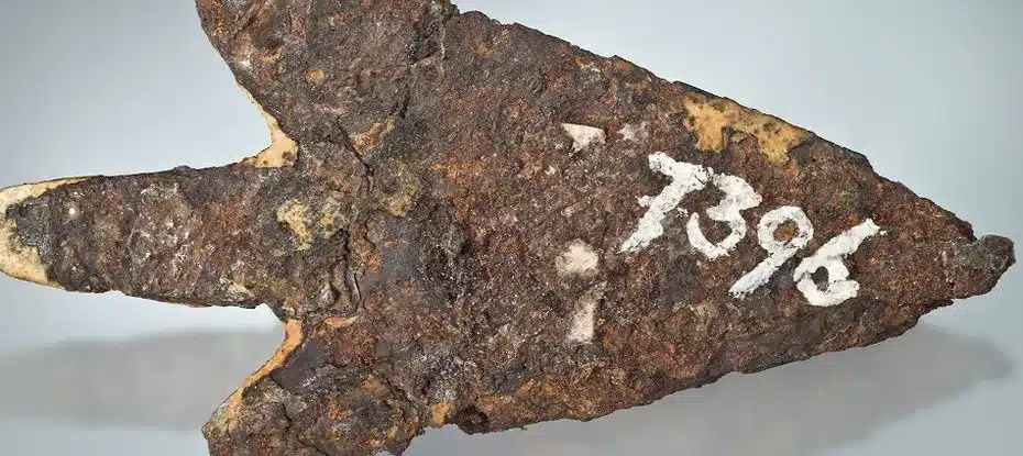 Armas de antepassados