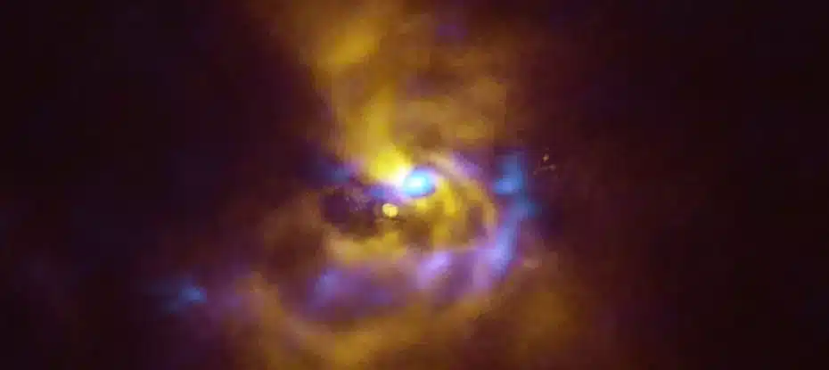 Observações combinadas SPHERE e ALMA de material em torno de V960 Seg. (ESO/ALMA (ESO/NAOJ/NRAO)/Weber et al.)