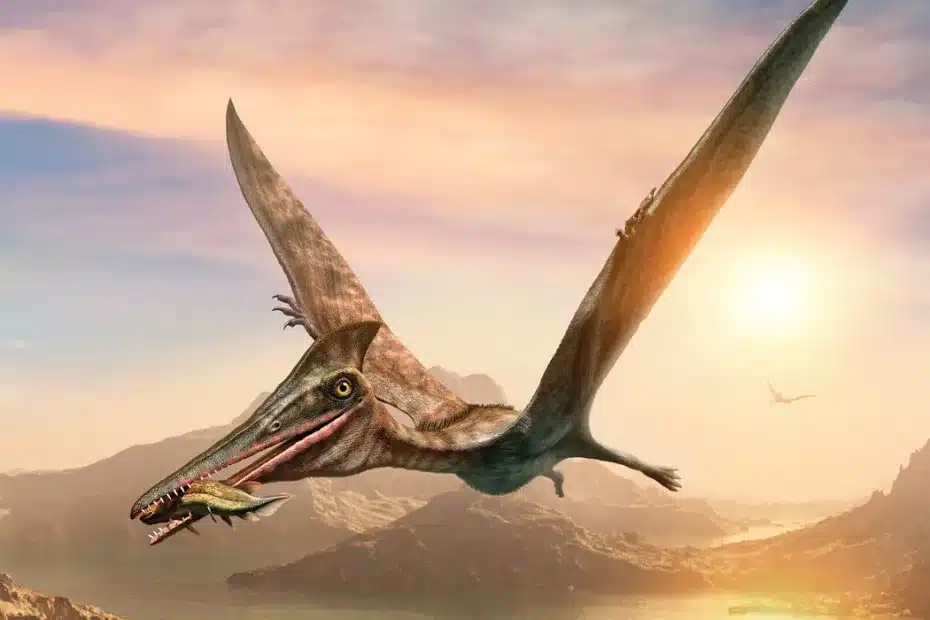 Os pterossauros se originaram há mais de 200 milhões de anos, durante o período Triássico, e foram os primeiros vertebrados a subir aos céus - Ilustração: Warpaintcobra / Istock / Getty Images Plus