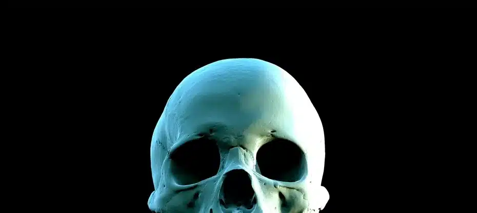 Seu crânio desempenha um papel misterioso na saúde do cérebro que nunca soubemos