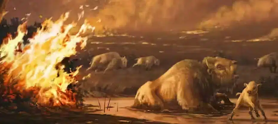 Um Incêndio exterminou espécies inteiras no passado. Está acontecendo de novo, alertam os cientistas