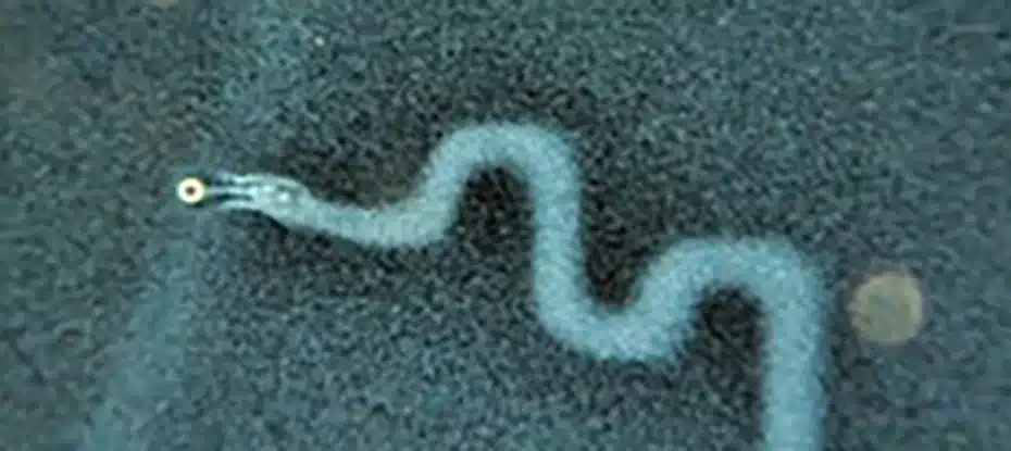 Os físicos descobriram uma maneira de escrever na água