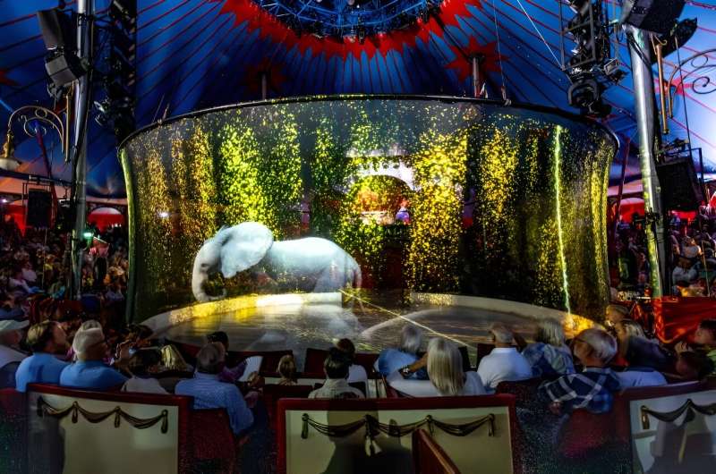 Circo alemão substitui animais vivos por hologramas