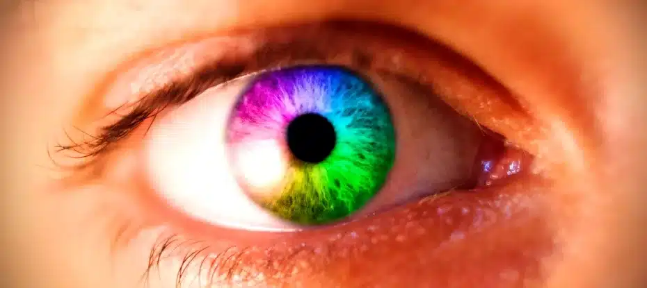 O que você cheira pode mudar a maneira como você percebe as cores