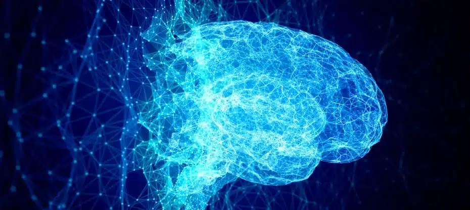 simulação do cérebro