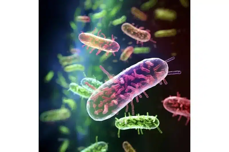 A análise de duas décadas de resistência aos antibióticos mostra que o uso de antibióticos não é o único causador de superbactérias