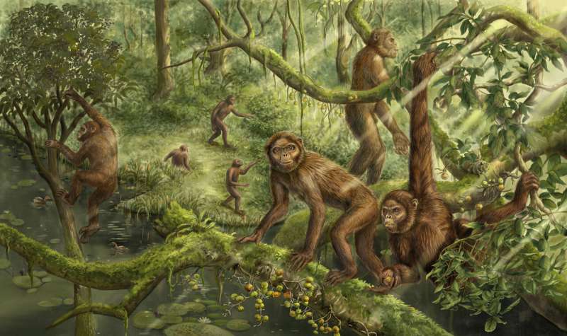Orelha de fóssil de macaco de 6 milhões de anos revela pistas sobre a evolução do movimento humano