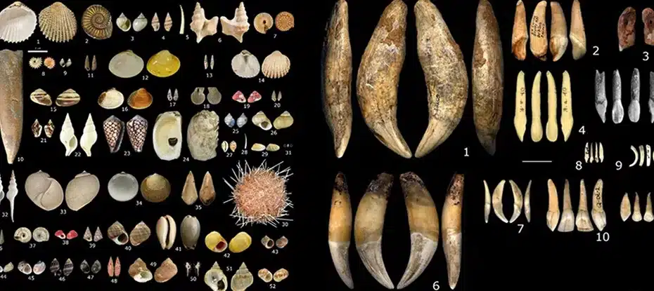 Impressionantes joias pré-históricas revelam nove sociedades ocultas na Idade do Gelo na Europa