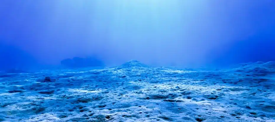 fundo do mar e oceano