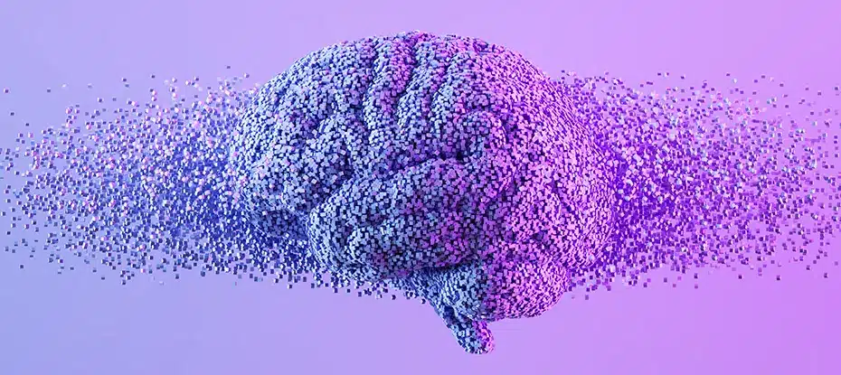 Temos cérebros quânticos? Comportamento ‘irracional’ segue regras estranhas