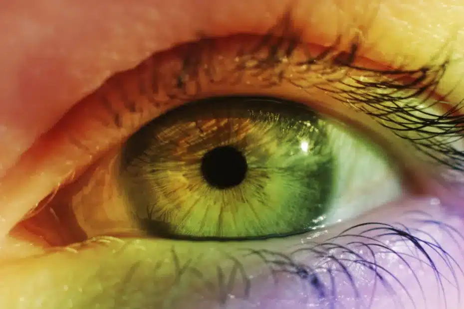 Uma molécula nos permite ver milhões de cores a mais do que nossos animais de estimação